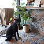 Naay Bej Hotel Tulum