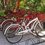 Joy Tulum Adults Only