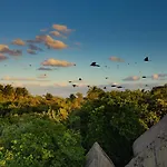Mamasan Treehouses &