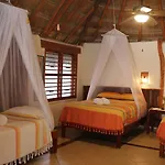 Bt Live Located At The Party Zone Tulum