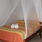 Hotel Bt Live Located At The Party Zone Tulum