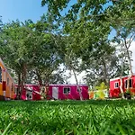 Colorbox Beds And Rooms