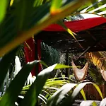 Casa Selva De Luz