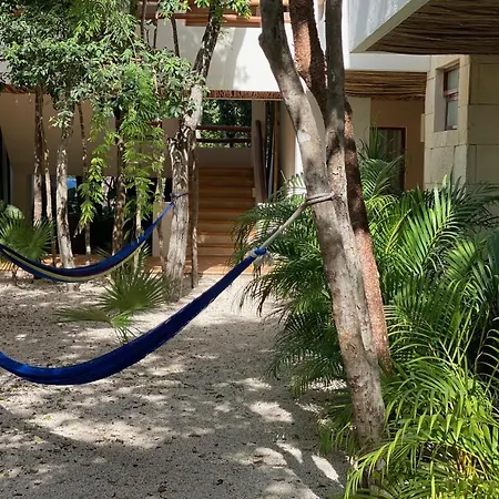 Niik Tulum