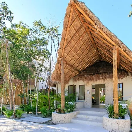Apartamento Complex With An Alluring Pool & Tropical Vibes By Stella Rentals!