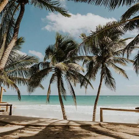 Zorba Homes Villa Tulum