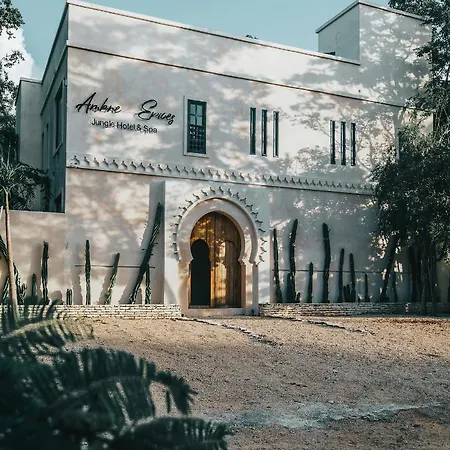 Ambre & Epices Jungle & 4* Tulum