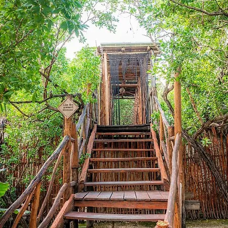 Manglex Eco Hotel Tulum Hotel