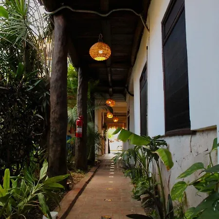 L Hotelito Hotel 3*
