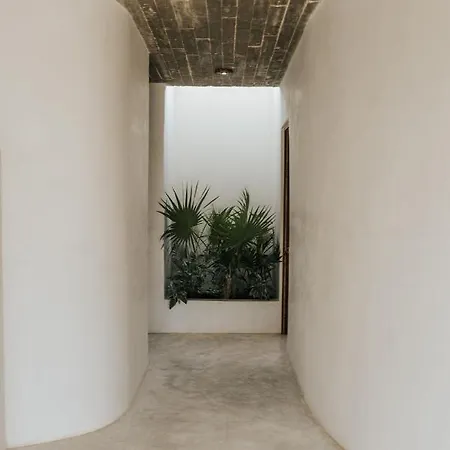 Zorba Homes Villa Tulum
