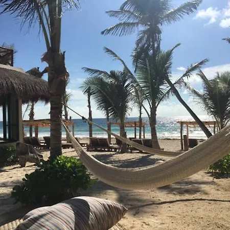 Hotel Dune Boutique Located At The Party Zone (adults Only) 4*