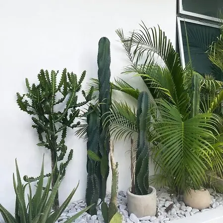 Milagro Holiday home *