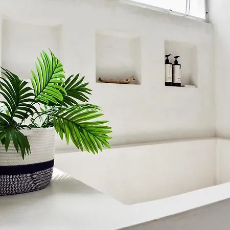 Milagro Holiday home Tulum