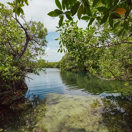 Lodge Yaxchen & Cenote *