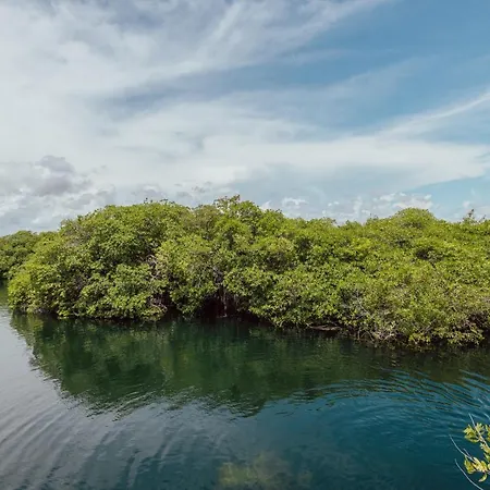 Yaxchen & Cenote Lodge *