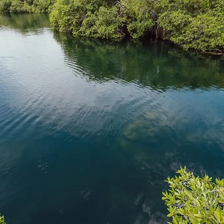 Lodge Yaxchen & Cenote *