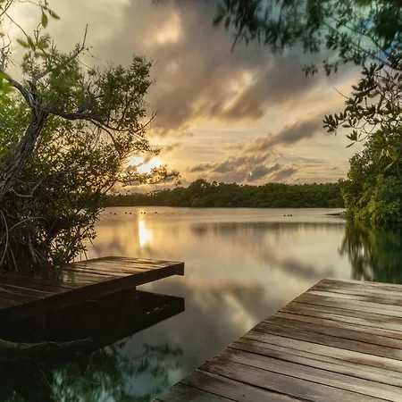 Yaxchen & Cenote Tulum
