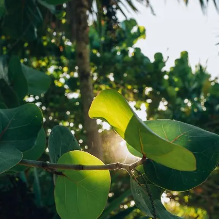 Hotel Ikal Tulum