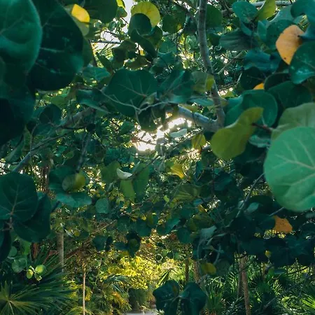 Ikal Tulum