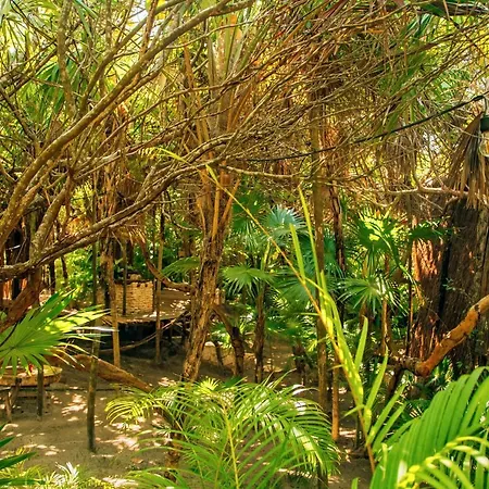 Hotel Ikal Tulum