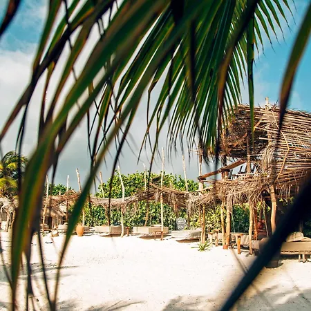 Ikal 5* Tulum