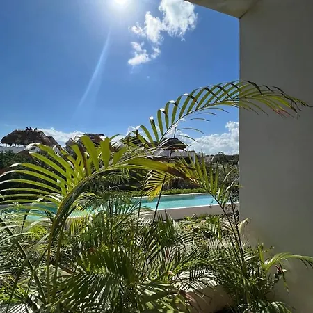 New Spacious 2 Level Penthouse W/ Pool Apartment