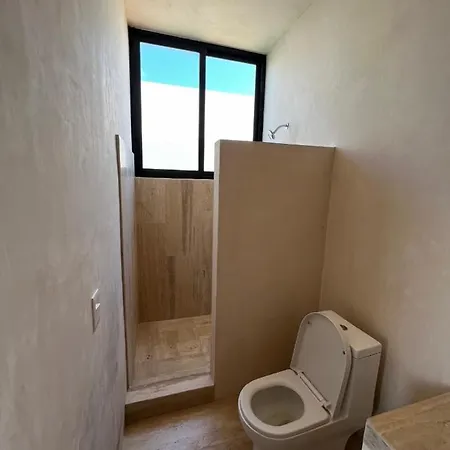 New Spacious 2 Level Penthouse W/ Pool Apartment