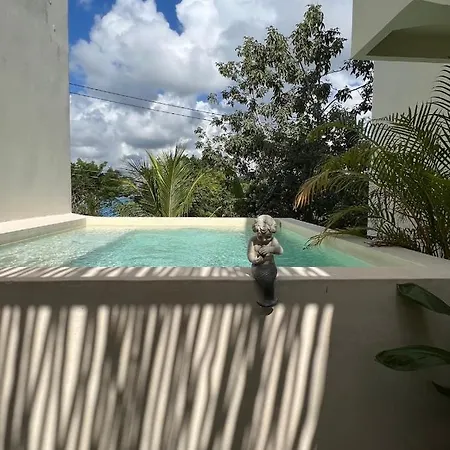 New Spacious 2 Level Penthouse W/ Pool Apartment