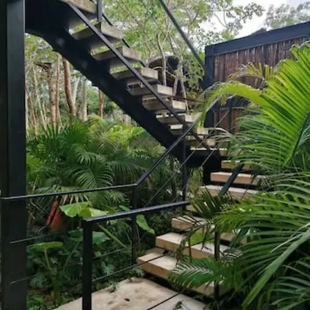 Apartment Jungle Penthouse With *private Plunge Pool*/aldea Zama Tulum