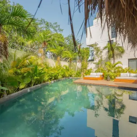 Jungle Penthouse With *private Plunge Pool*/aldea Zama Apartment