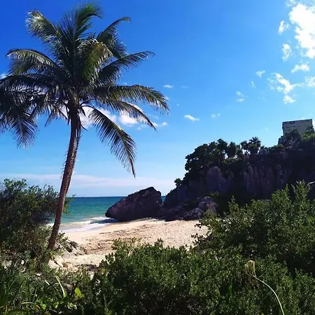 Apartment Jungle Penthouse With *private Plunge Pool*/aldea Zama *