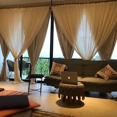 Near Beach+jungle Views. King Bed+220 Megs+2 Bikes