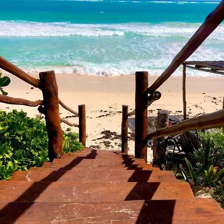 Near Beach+jungle Views. King Bed+220 Megs+2 Bikes Apartment Tulum