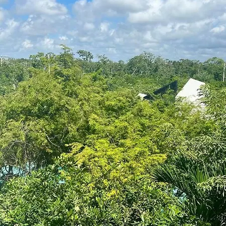 Near Beach+jungle Views. King Bed+220 Megs+2 Bikes