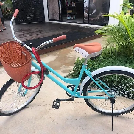 Apartment Near Beach+jungle Views. King Bed+220 Megs+2 Bikes