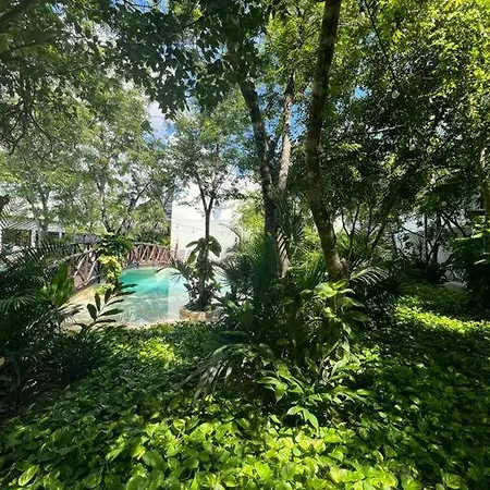 Near Beach+jungle Views. King Bed+220 Megs+2 Bikes Tulum