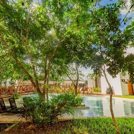 Apartment Near Beach+jungle Views. King Bed+220 Megs+2 Bikes