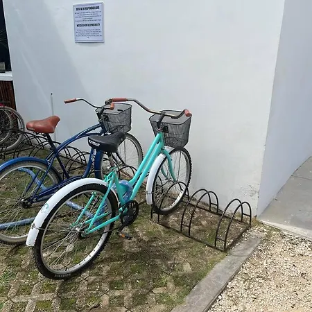 Near Beach+jungle Views. King Bed+220 Megs+2 Bikes Tulum