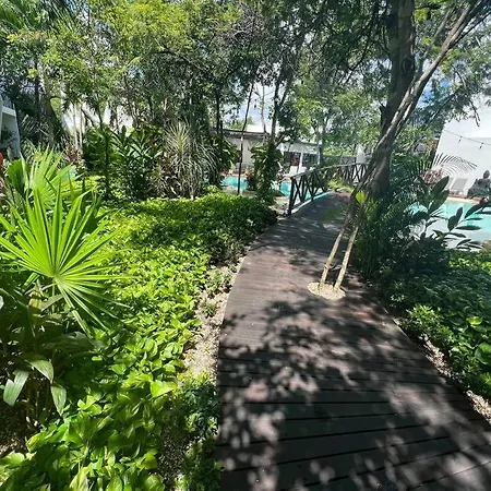 Near Beach+jungle Views. King Bed+220 Megs+2 Bikes * Tulum