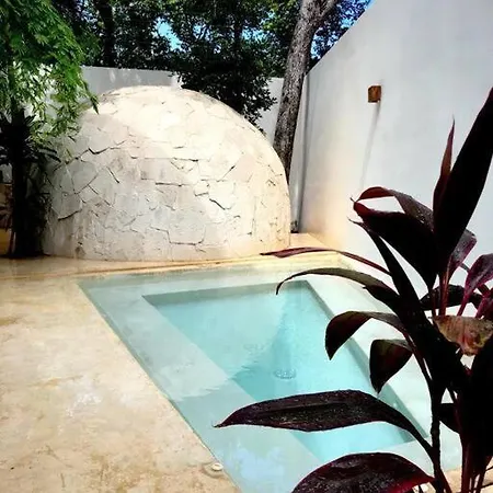 Near Beach+jungle Views. King Bed+220 Megs+2 Bikes * Tulum