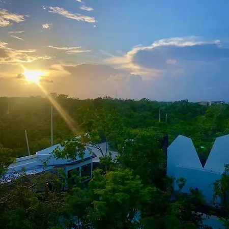 Near Beach+jungle Views. King Bed+220 Megs+2 Bikes Apartment Tulum