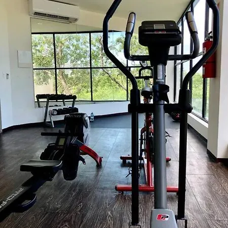 Near Beach+jungle Views. King Bed+220 Megs+2 Bikes Apartment