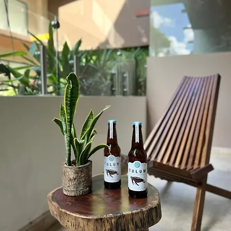 Apartment Menesse Studio Just A Few Steps Away Main St Tulum