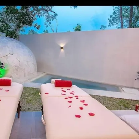 Apartment Near Beach+jungle Views. King Bed+220 Megs+2 Bikes Tulum