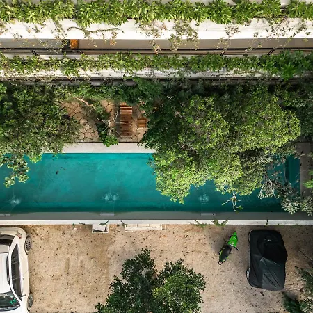 Cozy 1br Condo, 15 Min To Apartment Tulum