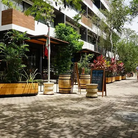 Apartment Viva Studio S/cocina