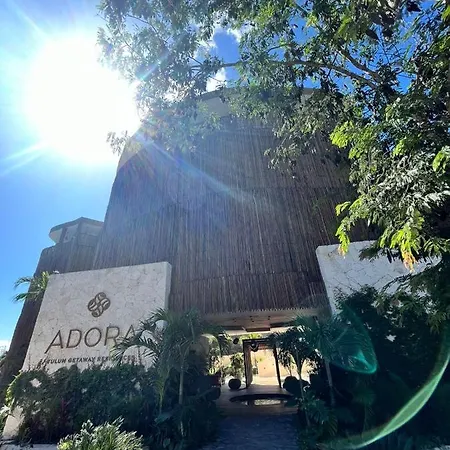 Apartment Lovely 2 Bedrooms With Private Plunge Pool *