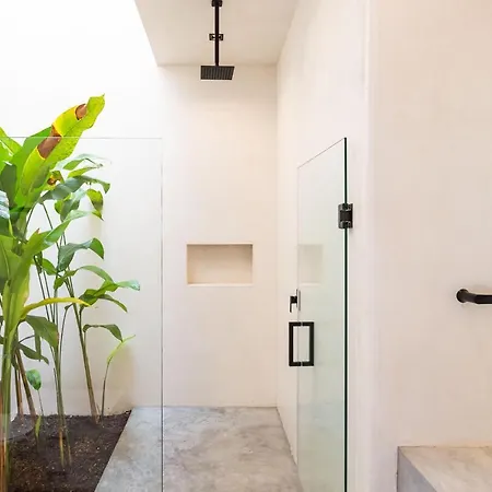 Lola - 5br Jacuzzi Alberca Climatizada Privada Tulum