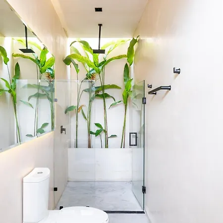 Lola - 5br Jacuzzi Alberca Climatizada Privada * Tulum