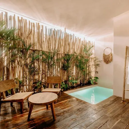 Majaro * Tulum